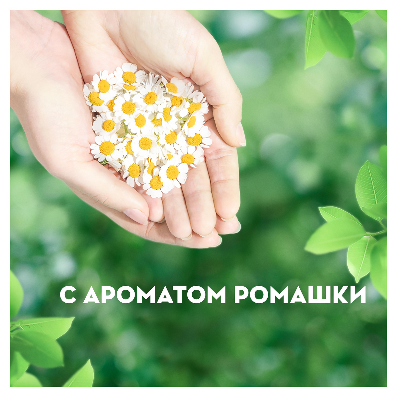 Прокладки Naturella Ultra Camomile Maxi Single с ароматом ромашки 5 капель 8 штук