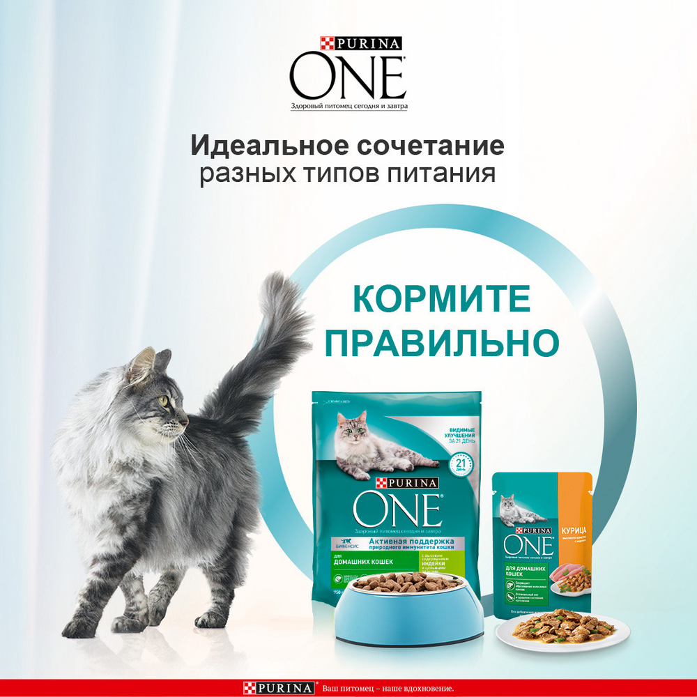 Сухой корм для домашних кошек Purina One с индейкой и цельными злаками 3кг