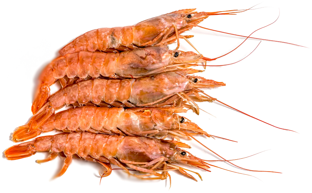 Креветки Pescapuerta Langostino Austral 10/20 неочищенные замороженные 2 кг