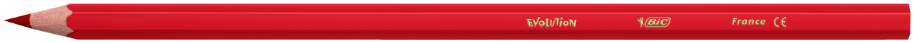 Цветные карандаши Bic пластиковые Кидс Эволюшн 12 цветов