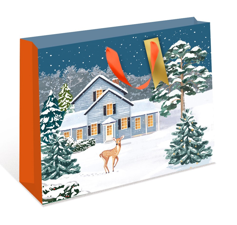 Сумка подарочная Арт и Дизайн бумажная ААА, 50 x 40см