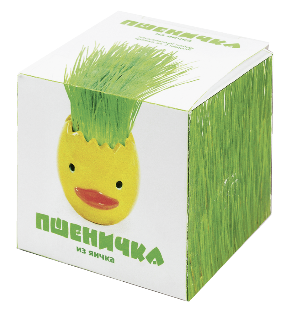 Набор Домашняя Кухня Пшеничка из яичка пасхальный
