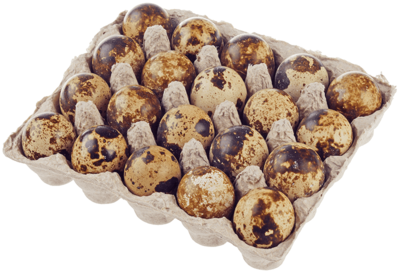 Яйцо перепелиное Первая перепелиная компания, 20шт