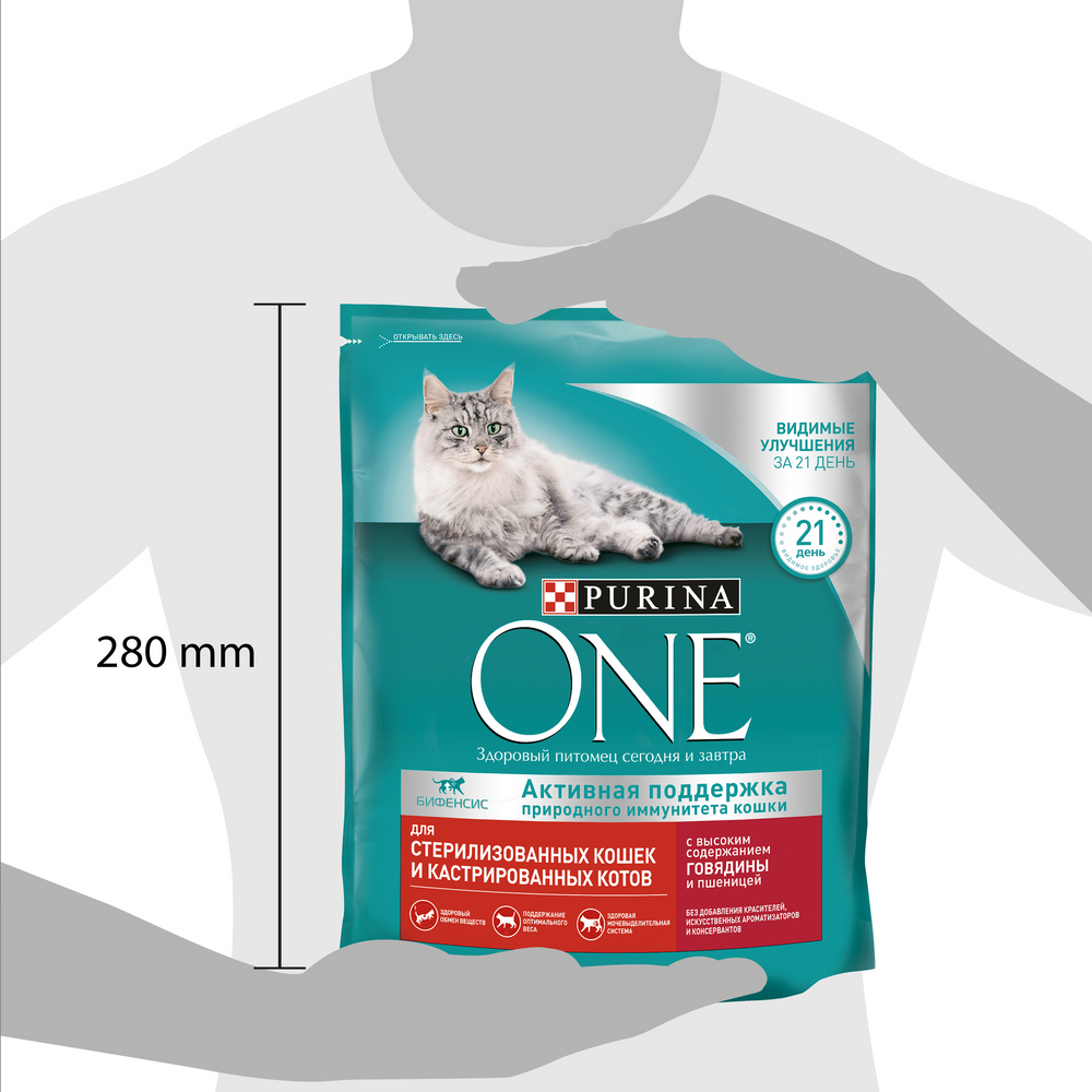 Сухой корм для стерилизованных кошек и котов Purina One с говядиной и пшеницей, 750г