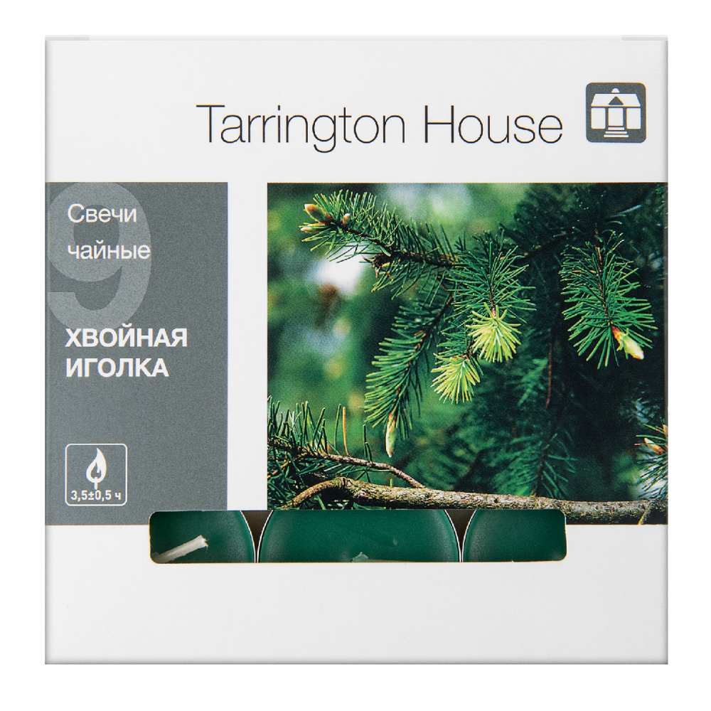 Tarrington House Свеча Чайная ароматическая Хвойная иголка, 9шт