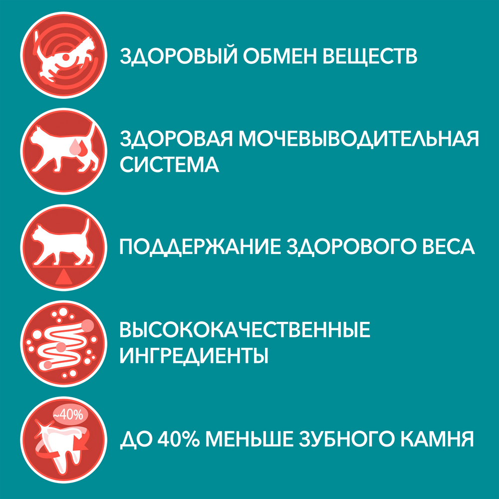 Сухой корм для стерилизованных кошек и котов Purina One с говядиной и пшеницей, 750г