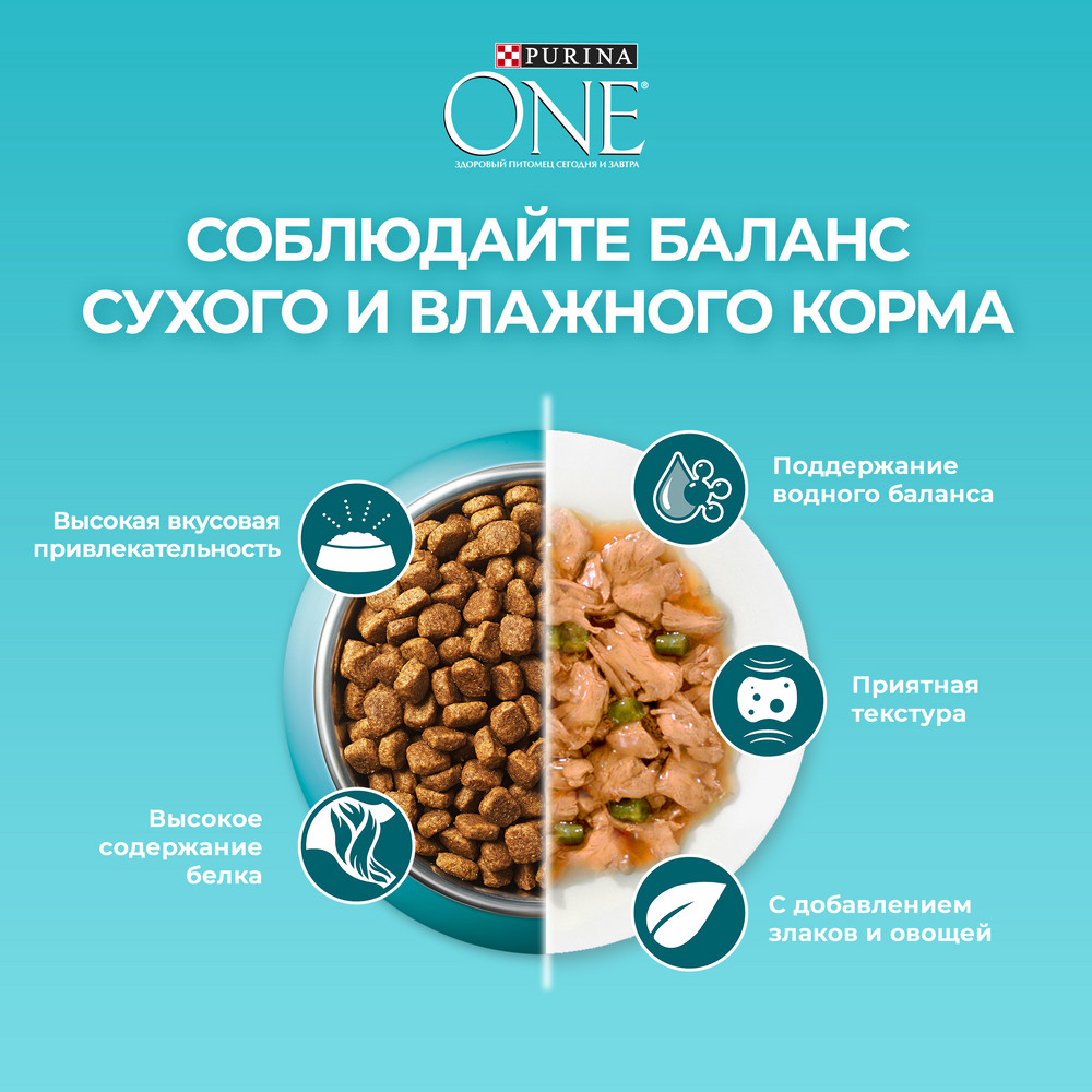 Корм сухой Purina One для домашних кошек с индейкой и цельными злаками, 200 г