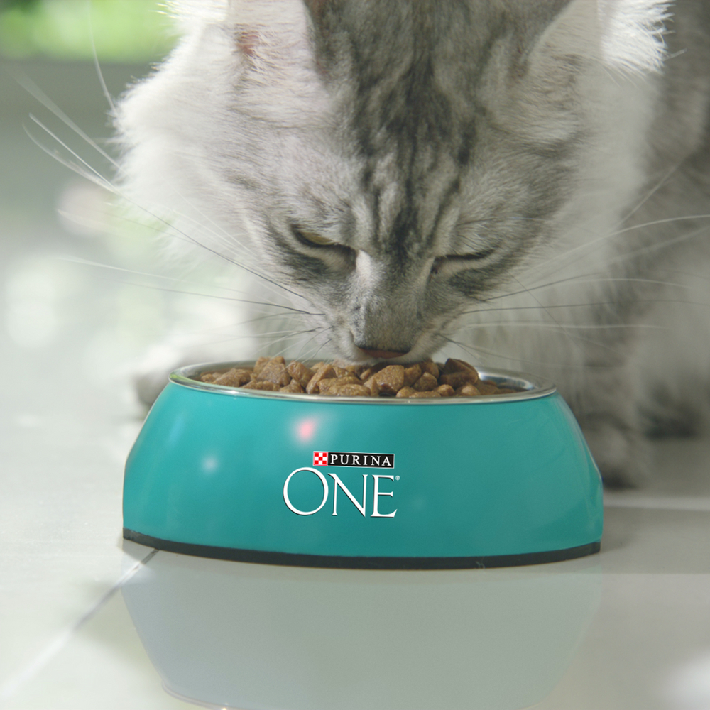 Сухой корм для стерилизованных кошек и котов Purina One с говядиной и пшеницей, 750г