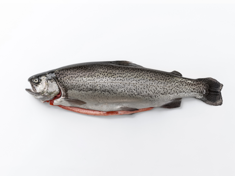 Форель Горная Остров потрошеная с головой охлажденная, ~2-3кг