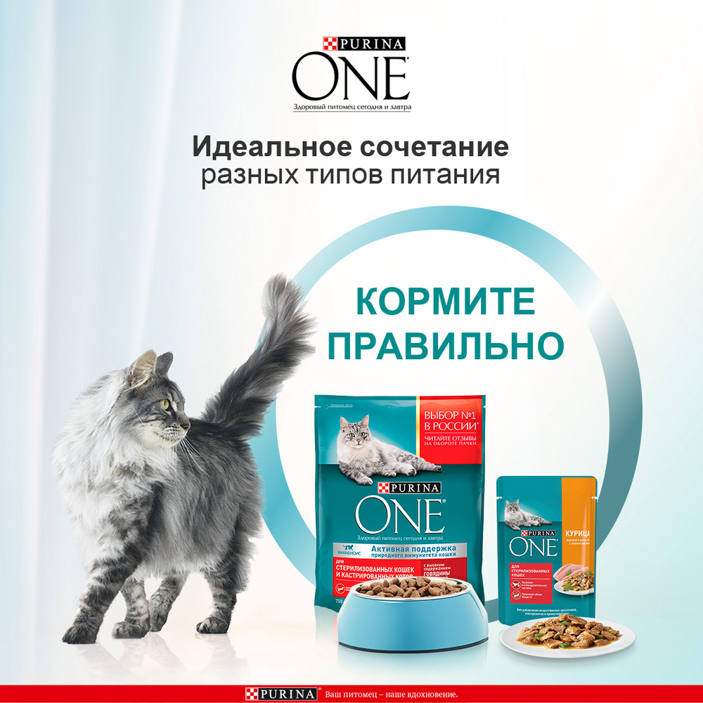 Сухой корм для стерилизованных кошек Purina One с лососем и пшеницей, 750г