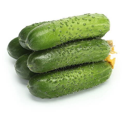 Огурцы корнишоны ~1