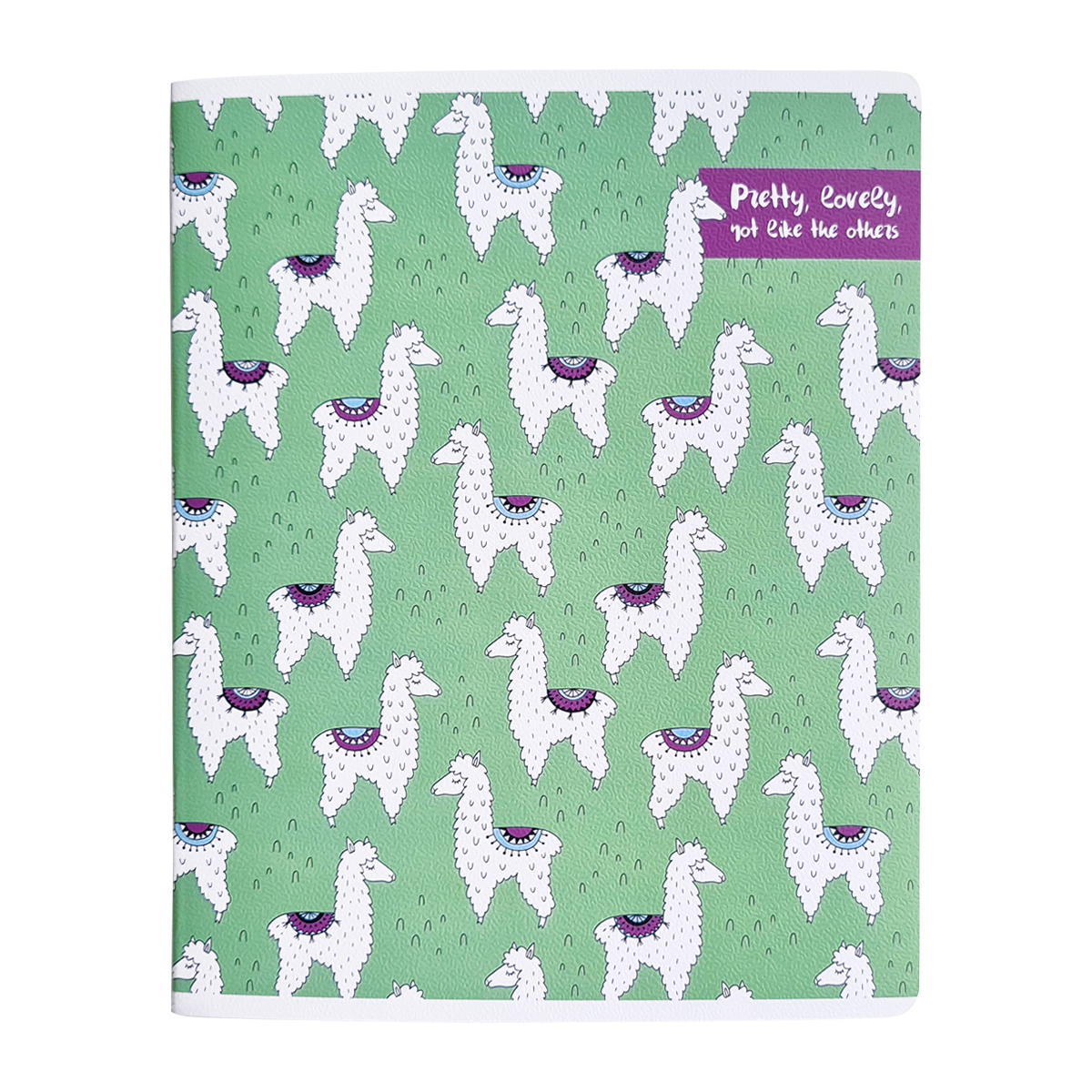 Тетрадь Be Smart Funny animals Панда в клетку А5 48 л