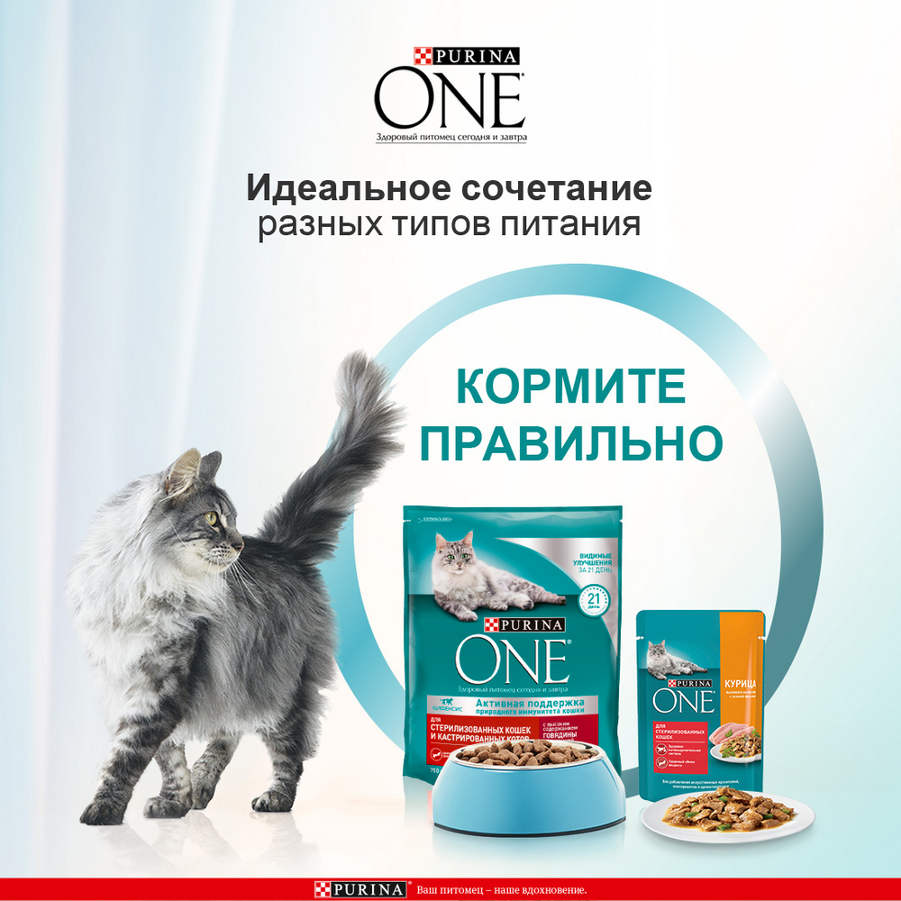 Сухой корм для стерилизованных кошек и котов Purina One с говядиной и пшеницей, 750г