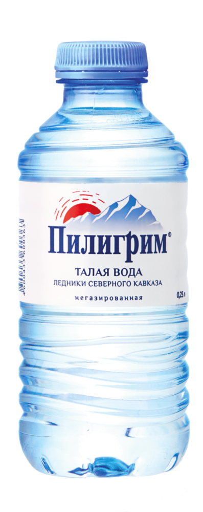Вода Пилигрим питьевая негазированная, 250мл