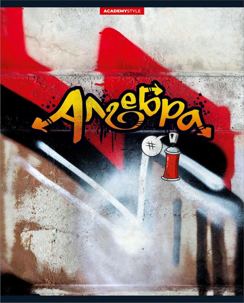 ТЕТРАДЬ 48Л ГРАФФИТИ