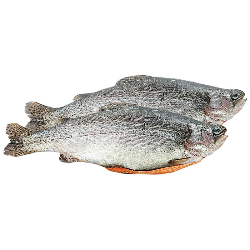 Форель радужная охлажденная