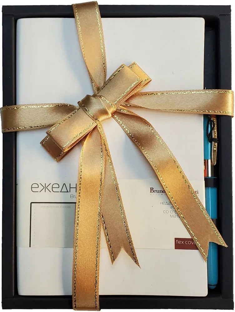 Подарочный набор Bruno Visconti Mercury микс: ежедневник А5, ручка шариковая