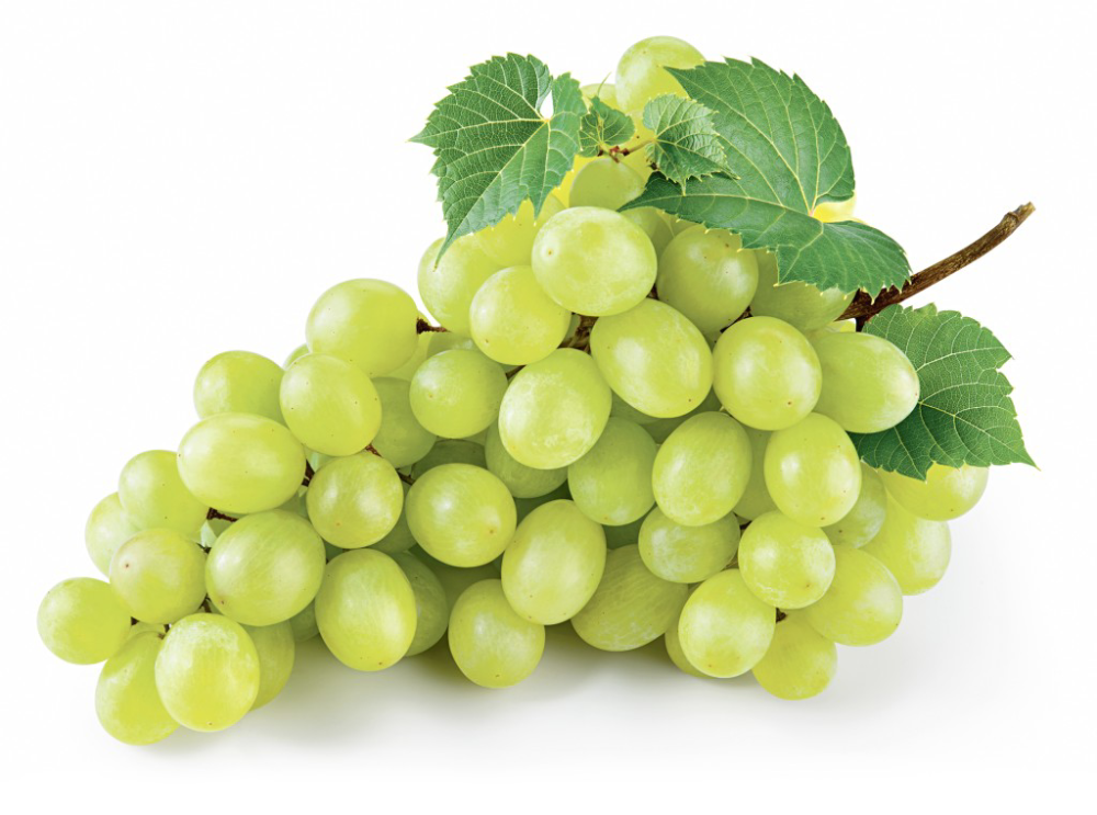White grape