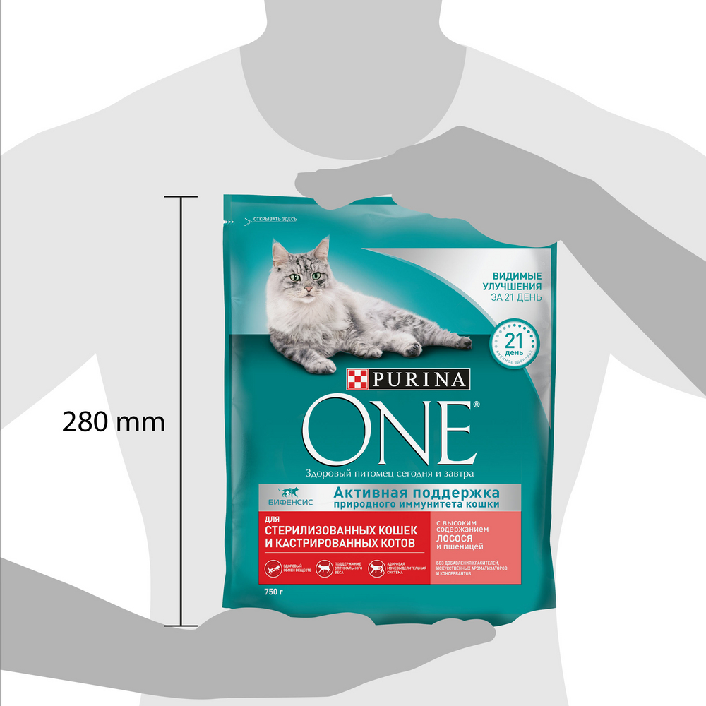 Сухой корм для стерилизованных кошек Purina One с лососем и пшеницей, 750г