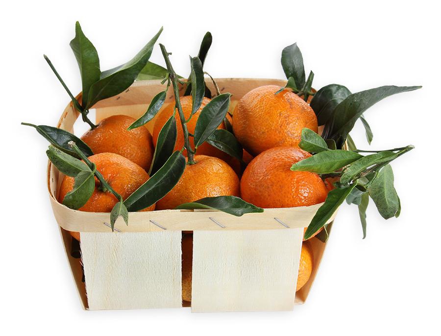 МАНДАРИНЫ БЕБИ (КОРЗИНКА)