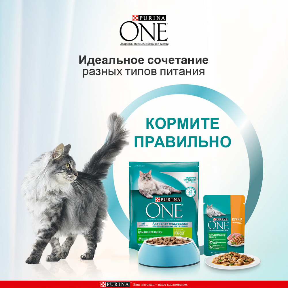 Сухой корм для домашних кошек Purina One с индейкой и цельными злаками 750г