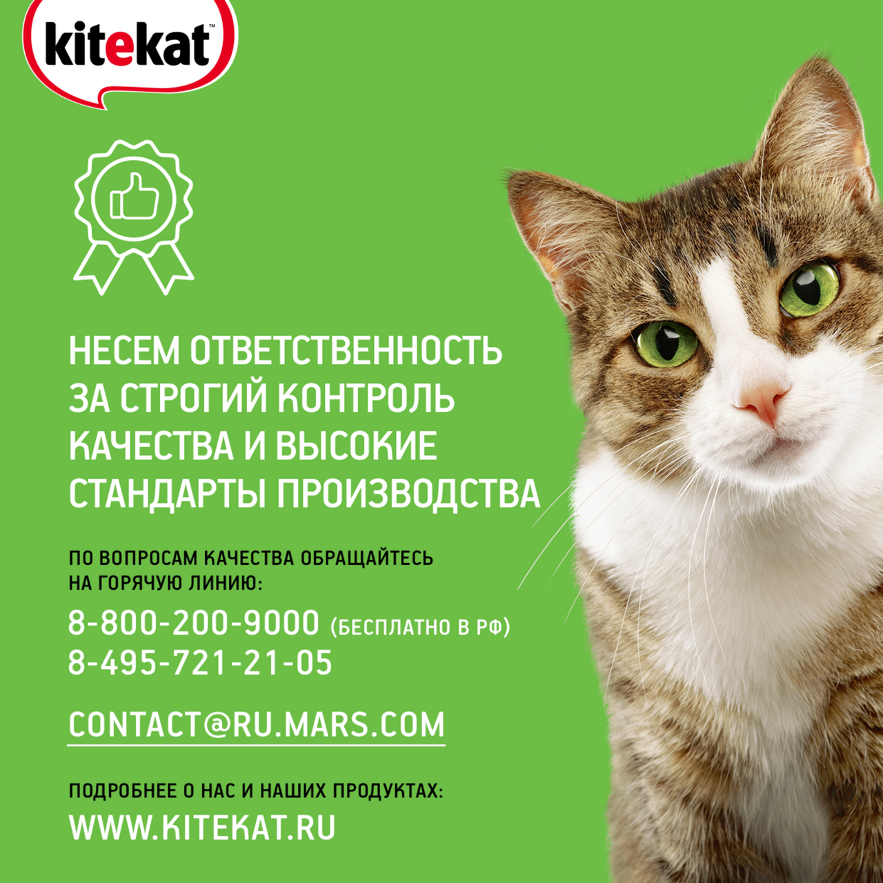 Корм для кошек Kitekat телятинка аппетитная 15кг
