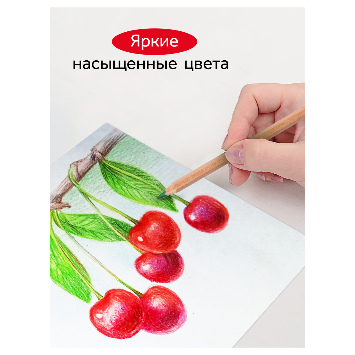 Карандаши Гамма Мультики цветные супермягкие 12 цветов