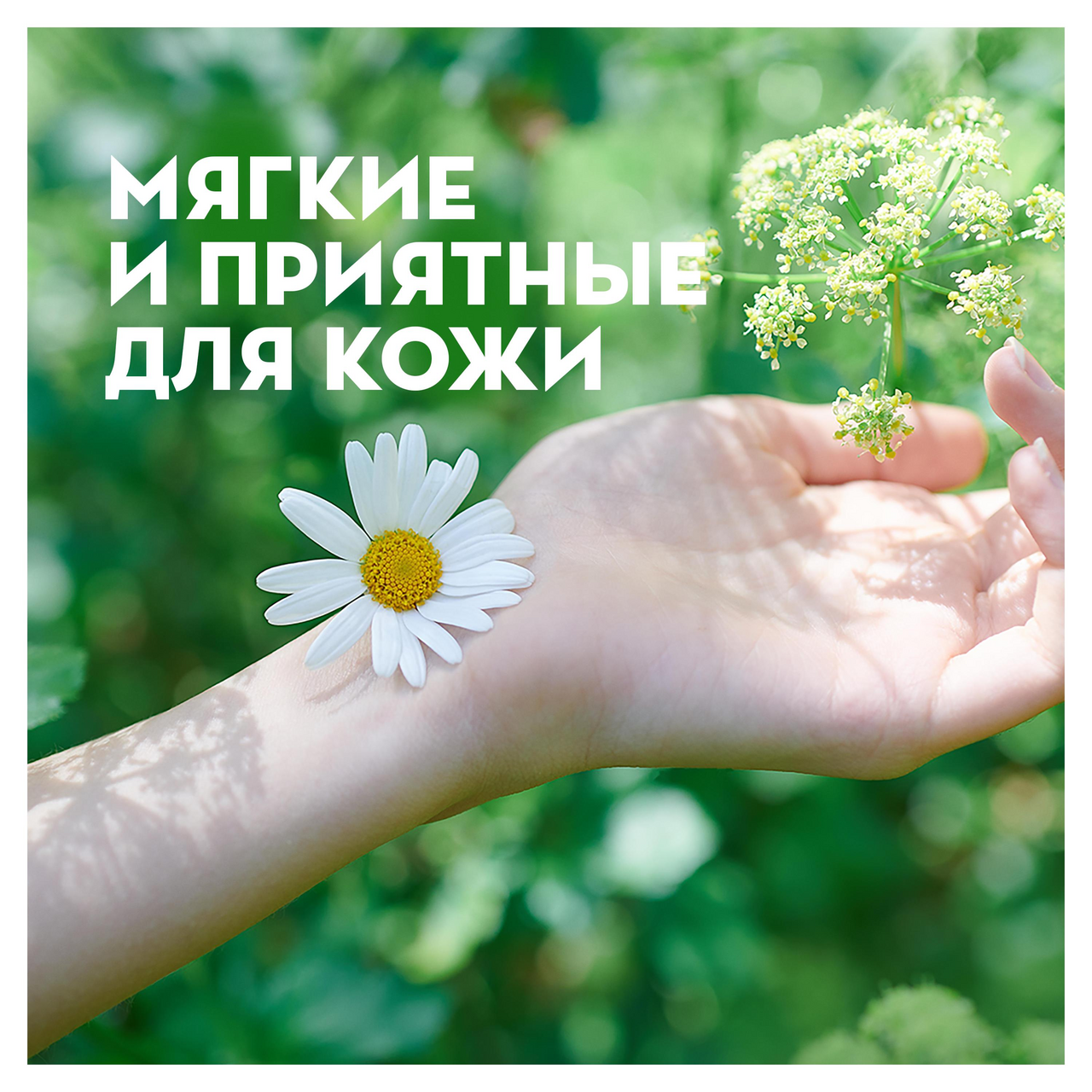 Прокладки Naturella Ultra Camomile Maxi Single с ароматом ромашки 5 капель 8 штук