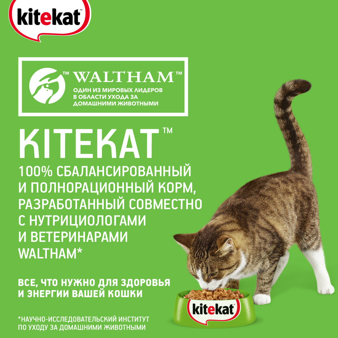 Корм для кошек Kitekat телятинка аппетитная 15кг