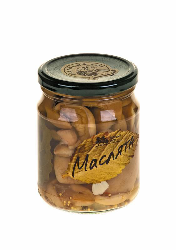 Маслята Таежный сбор