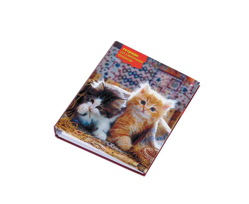 Тетрадь на кольцах АЛЬТ+сменный блок, 160л