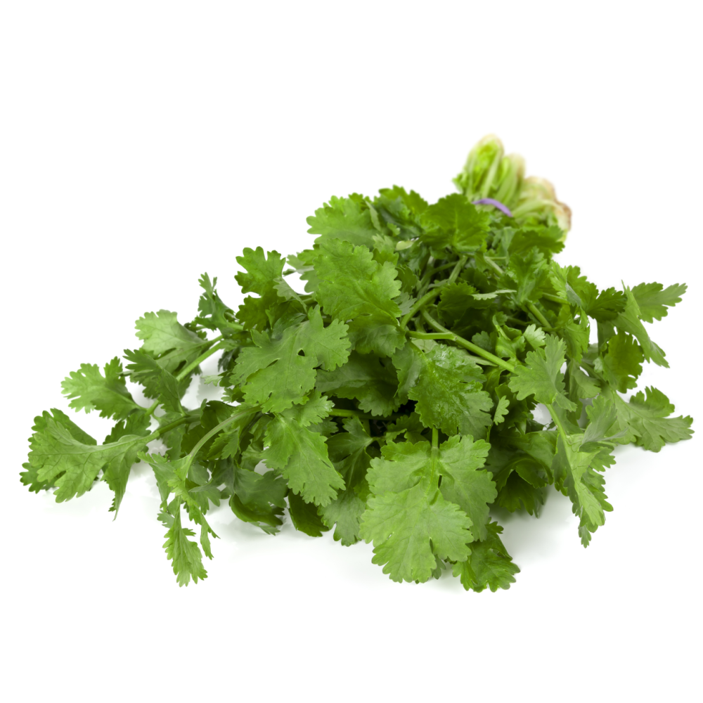 Кинза свежая 70г