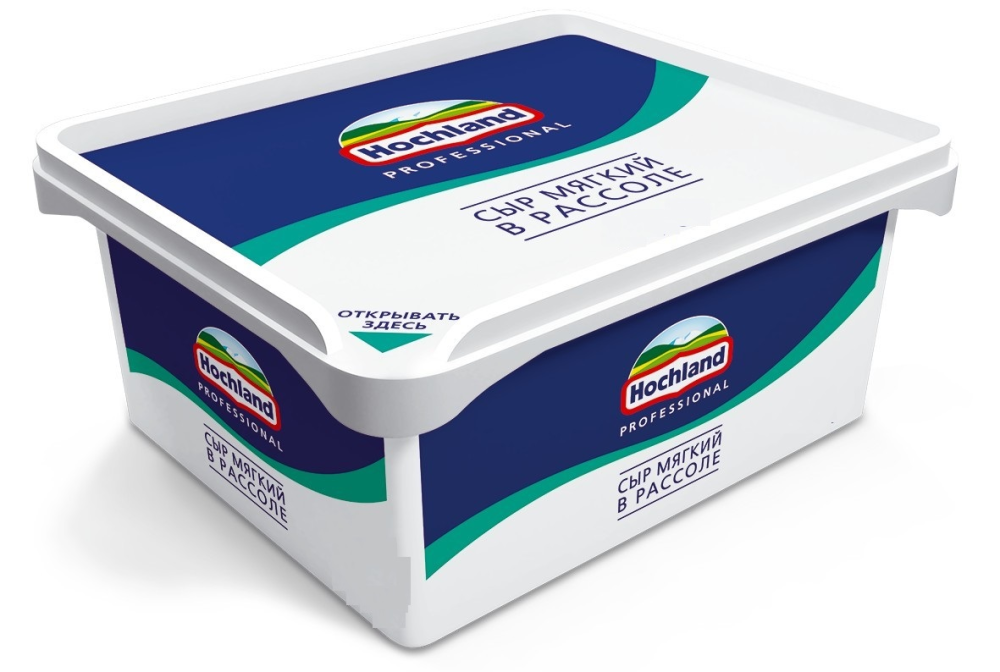 Сыр HOCHLAND professional мягкий молодой в рассоле 45%, 480 г