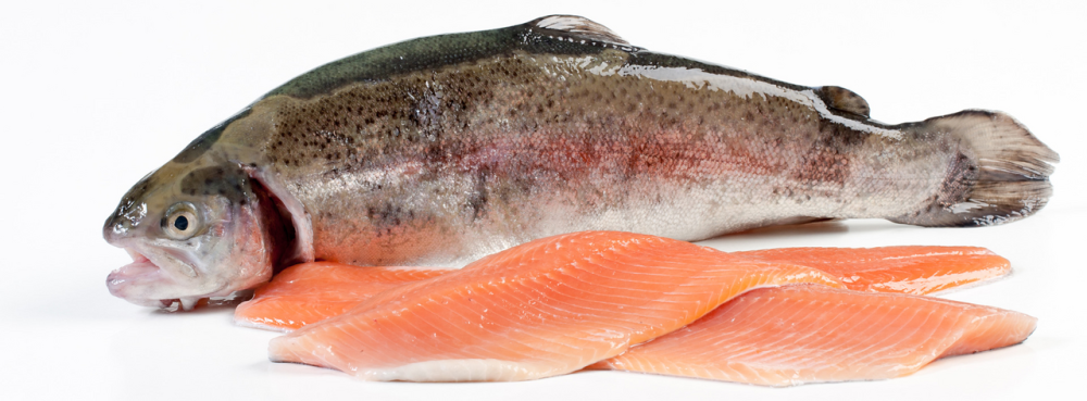 Форель радужная охлажденная ~ 2,5кг