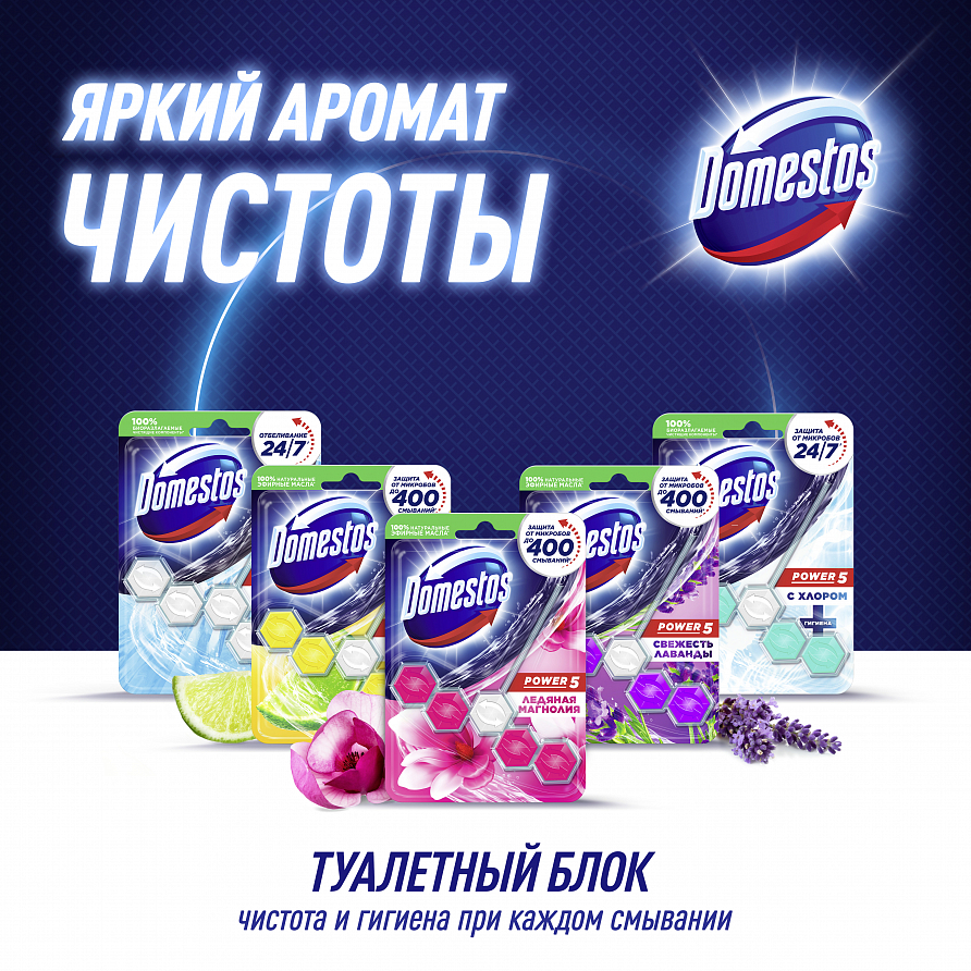 Блок для унитаза Domestos Power 5 Свежесть океана, 55г