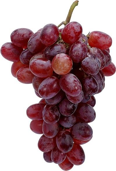 Виноград Дамские пальчики