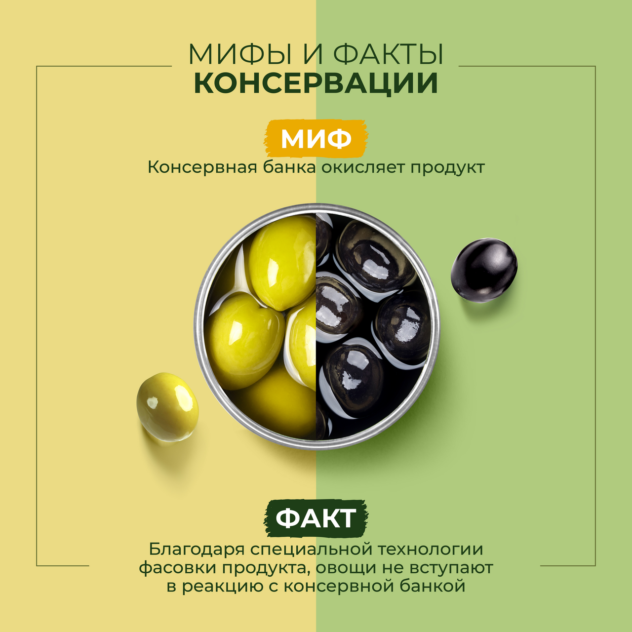 Оливки Bonduelle с косточкой, 300г