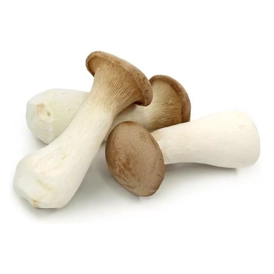 Еринги королевская вешенка. Грибы еринги. Грибы эринги. Эринги, королевская вешенка, степной белый гриб. Грибы еринги.